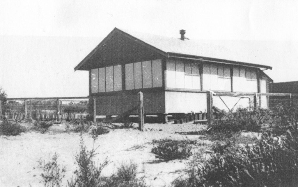 Protheroe School 1916