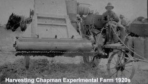 Harvesting Chapman Research Station 1920s