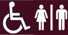 Wheelchair_Toilets